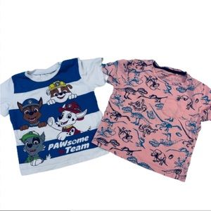 craft +flow shirt paw patrol size 4 excellent condition